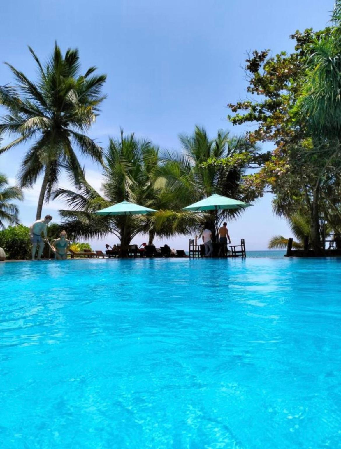 Marakolliya Beach Resort Tangalle Exteriér fotografie